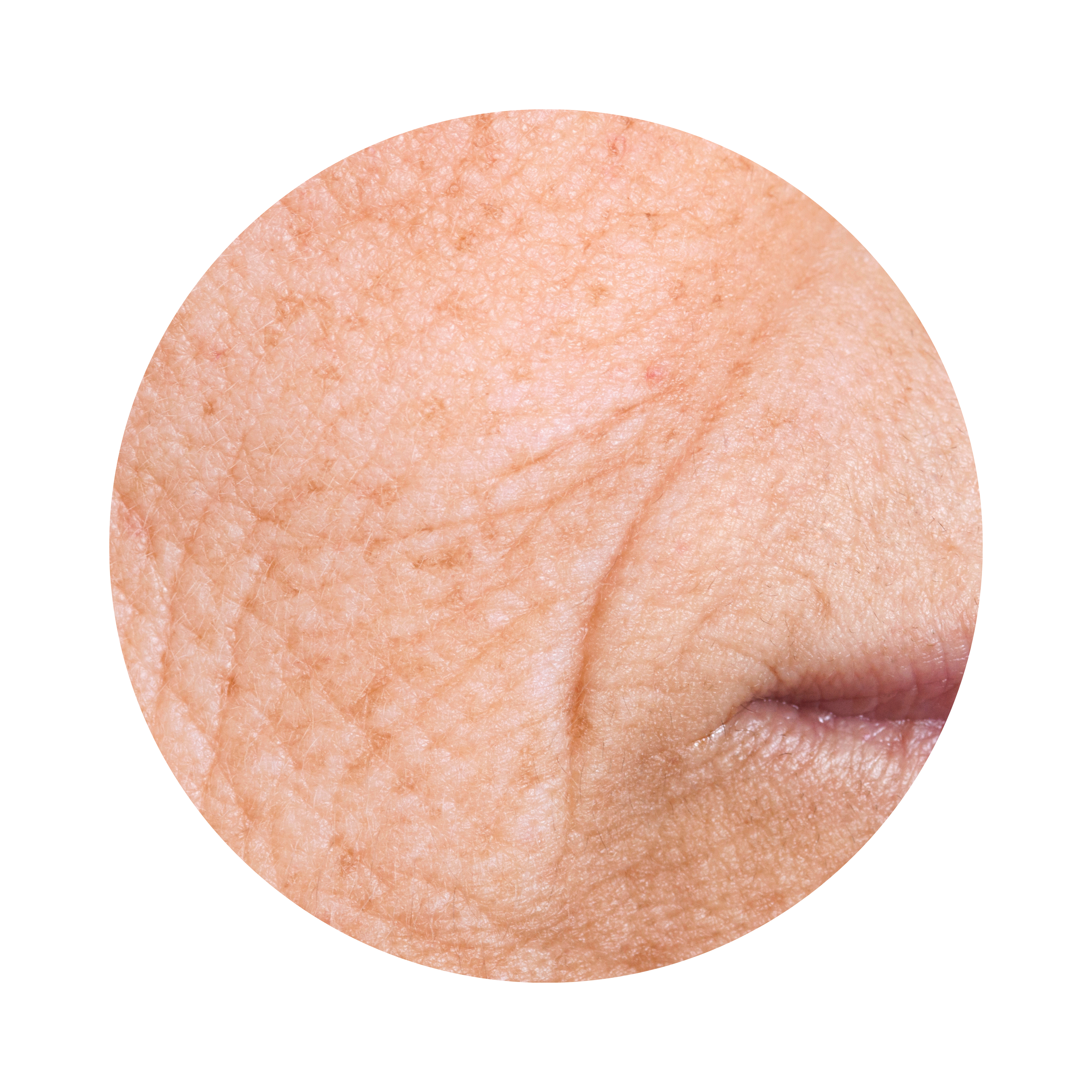 Pack Anti-âge